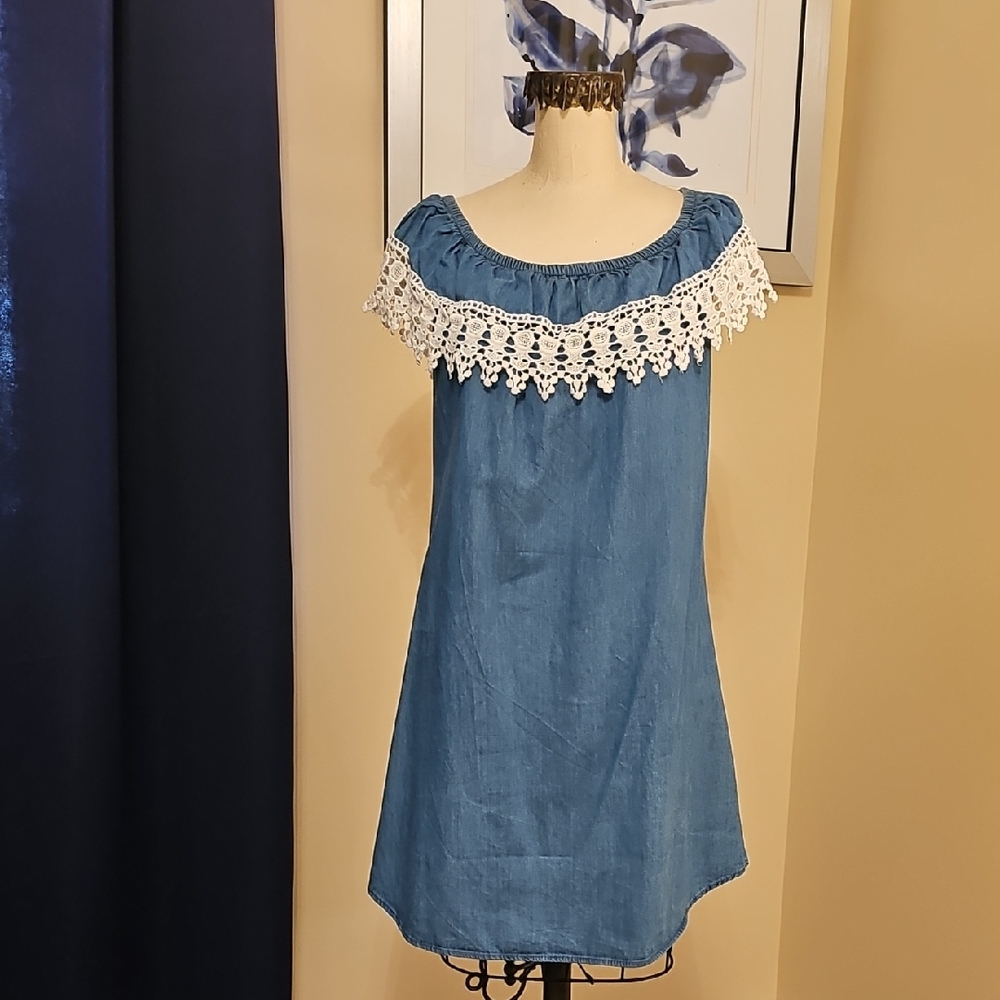 New Glory Denim Skirt